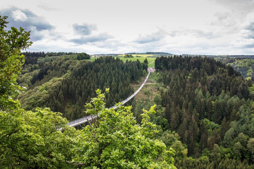 Hängeseilbrücke Geierlay