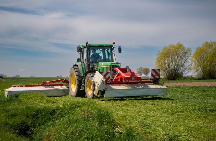 Gartenpflege in Weilheim und Oberbayern: So bleibt Ihr Grün das ganze Jahr in Form