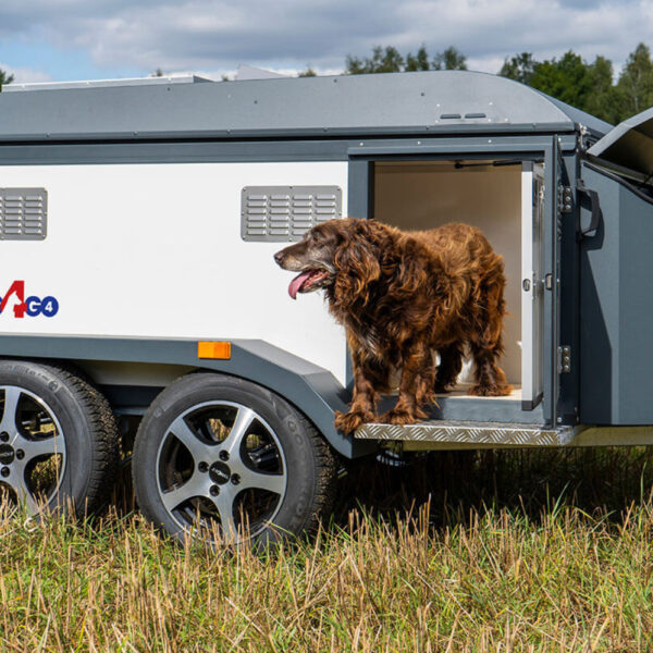 Hund auf Reisen – warum ein Hundeanhänger die Qualität gemeinsamer Ausflüge verändert