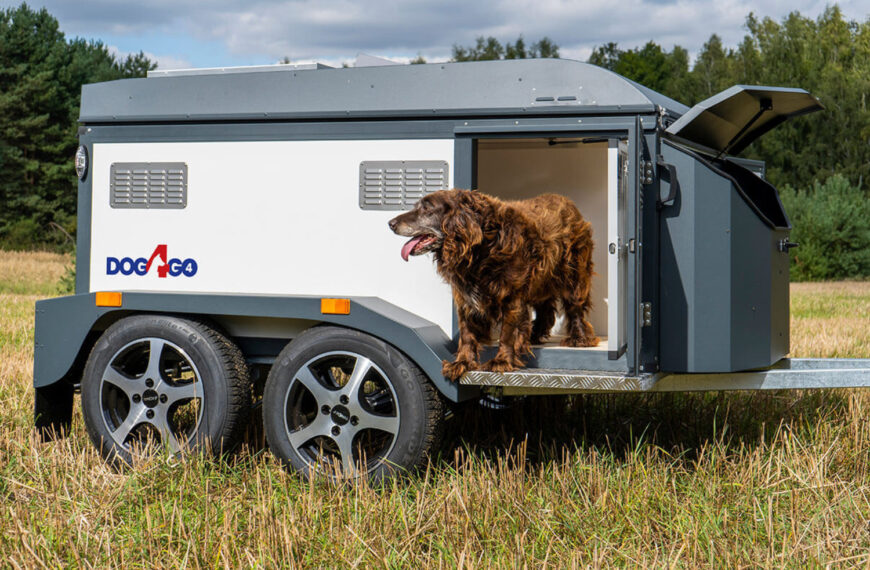 Hund auf Reisen – warum ein Hundeanhänger die Qualität gemeinsamer Ausflüge verändert